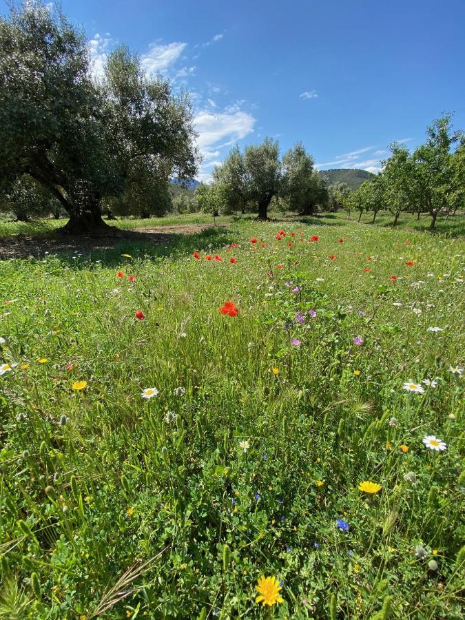 Wonderful Comfortable Finca In The Burga Valley Rasquera Exterior photo